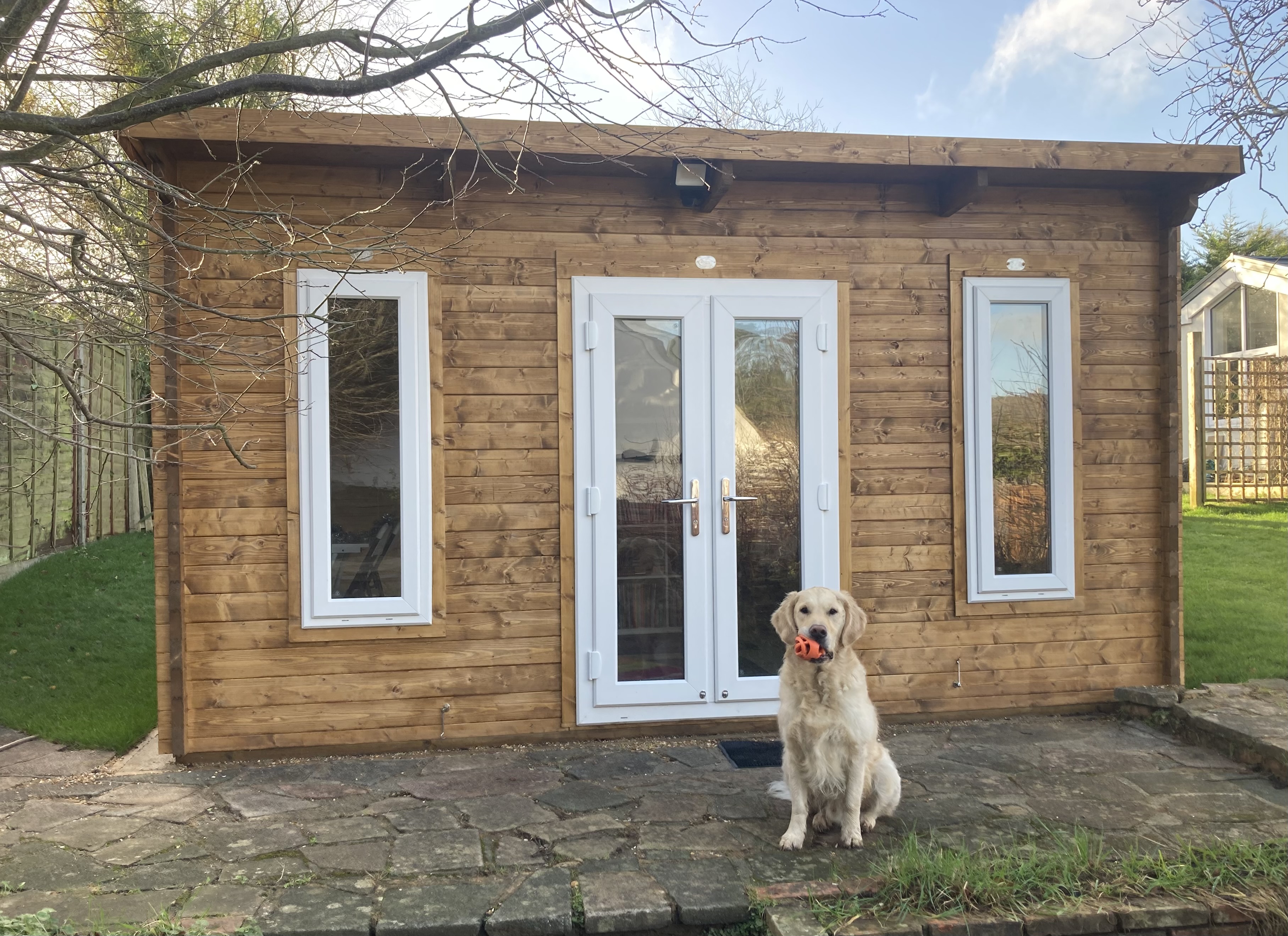 Golden Retriever with orange ball outside garden studio