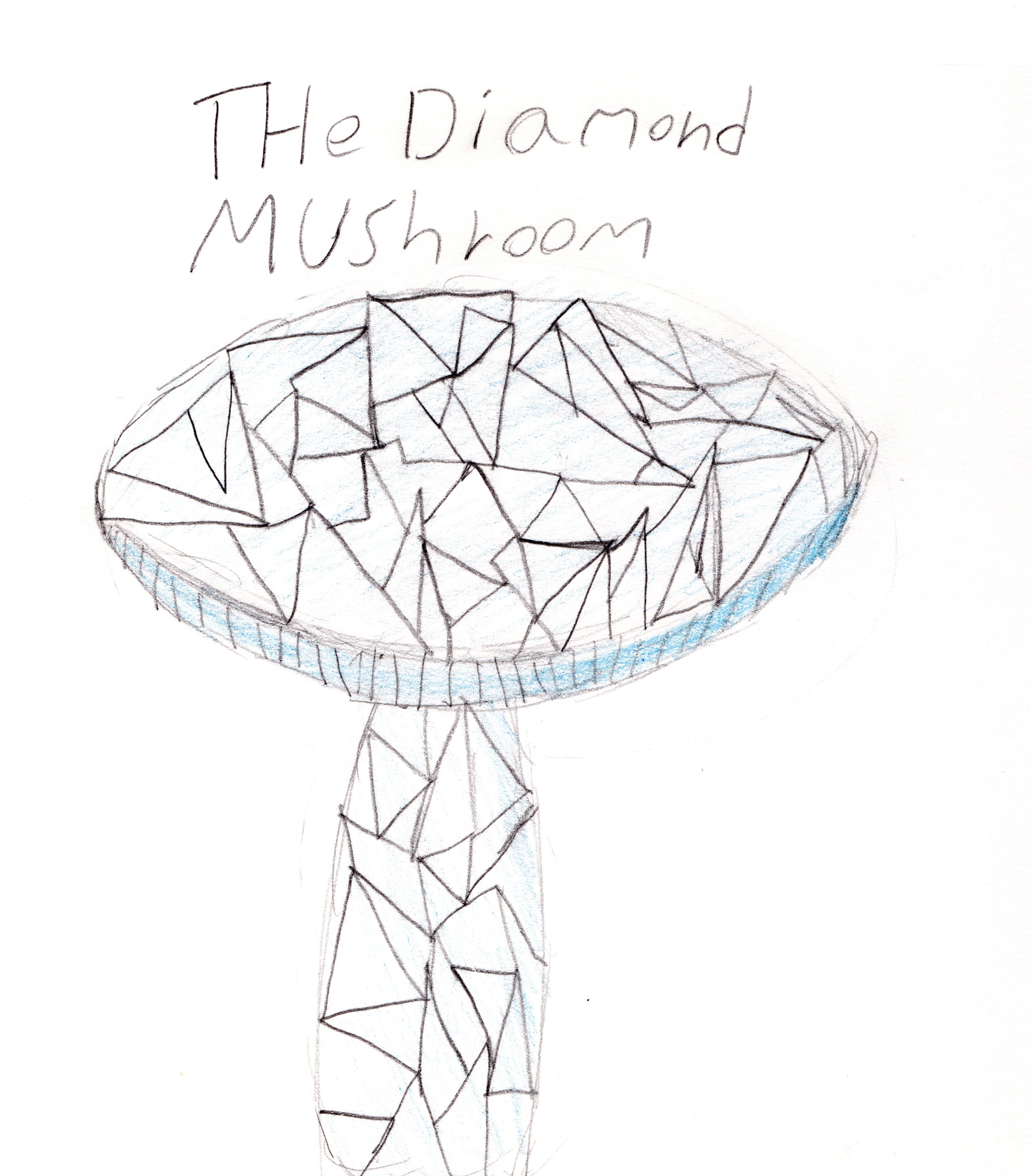 Diamond-Mushroom